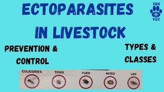 Ectoparasites in Livestock [upl. by Annel]