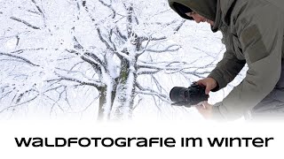 Waldfotografie im Winter  Naturfotografie Tutorial [upl. by Aleen428]