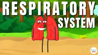 Respiratory System From Inspiration to Expiration Explained in Simple Words [upl. by Luemas]