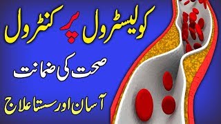 Home Remedies for High Cholesterol  Cholesterol Control  Cholesterol Levels in Urduhindi [upl. by Shank]