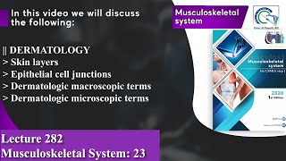 Skin layers  Epithelial cell junctions  Dermatologic macroscopic and microscopic terms [upl. by Llednol]