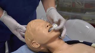 Paediatric Anaesthetics Chapter 1  Guedel manikin [upl. by Coady150]