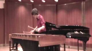 Concerto for Marimba Movement I by Eric Ewazen [upl. by Erised]