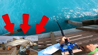 INSANE SNOOK FISHING part 2 [upl. by Devinna321]