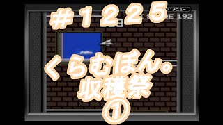 【毎日投稿】今日のかみヒコーキ part1225 [upl. by Attekahs]