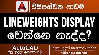 AutoCAD Beginner Course Sinhala Part 25  Line Weight Display [upl. by Essinger]