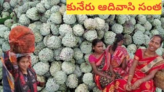 కునేరు గిరిజన సంత  kuneru tribal market [upl. by Pelagias]