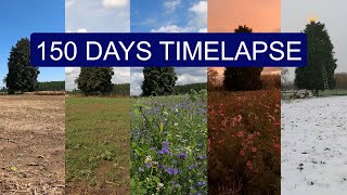 We sowed a WILDFLOWER MEADOW  150 days Start to Finish TIMELAPSE [upl. by Paxon]