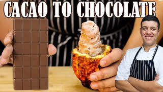 Making Chocolate from Fresh Cacao Pods  And This What Happened [upl. by Anaujal]