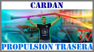 Como cambiar los SOPORTES del CARDAN ¡ Roto  ¿ Vibración y ruido   Flector Propulsión Trasera 👈 [upl. by Hwang]