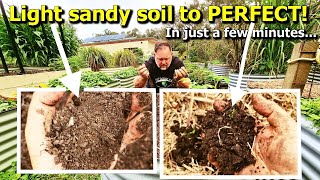 How to Fix Light Sandy Garden Soil in the Vegetable Patch [upl. by Nallaf882]