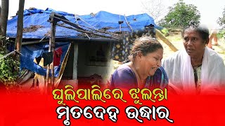 ଘୁଲିପାଲିରେ ଝୁଲନ୍ତା ମୃତଦେହ ଉଦ୍ଧାର  Breaking News  Bargarh News  Viral Bargarh  Viral News [upl. by Lleroj]