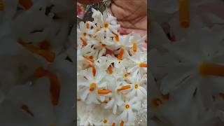 Ammavari ki intho istamaina parijatha puvvu ammavaripooja saianjanivlogs youtubeshorts [upl. by Nangatrad494]