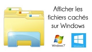 Afficher les fichiers cachés sur Windows [upl. by Nonnairb]