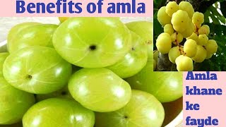 Benefits of amla  Amla khane ke fayde  Benefits of Indian gooseberry [upl. by Anileme834]