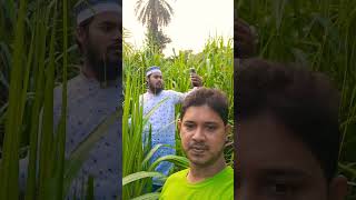 Somadhan Chao Jodi Jibone Morone  সমাধান চাও যদি জীবনে মরনে  Islamic Song  naturephotography [upl. by Led443]