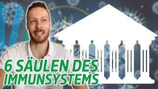 Säulen unseres Immunsystems  Aufbauen amp Stärken [upl. by Ailecara612]