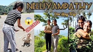 NELLIYAMPATHY TRIP 🌳🌊 Malayalam  palakkad tourist places  Kerala nature [upl. by Ybbed]