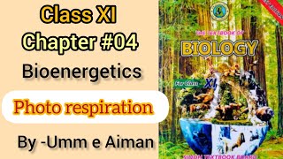 Photo respiration Bioenergetics Chapter04 Class XI Sindh board By Umm e Aiman [upl. by Akinwahs]