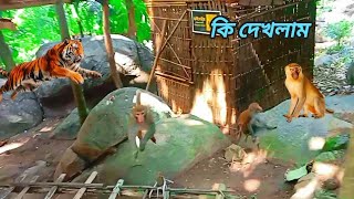 মহেশ দম পাহাড়ের উপর কি দেখলাম 👀mohes dam paharer urpe ki deklam 😱new 2024 [upl. by Yaf]