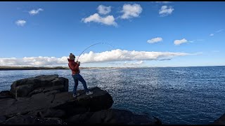 Back Amongst The FISH  Dunstanburgh Castle  Northumberland  Winter Lure Fishing [upl. by Hecht]