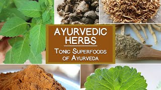 Ayurvedic Herbs The Tonic Superfoods of Ayurveda [upl. by Dorise253]