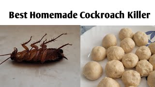 How To Kill Cockroaches Using Boric Powder  Safe and Effective Way to Kill Cockroaches  Works 100 [upl. by Dania]