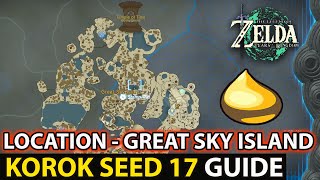 Korok Seed 17 Location On Great Sky Island Guide In Zelda Tears of the Kingdom TotK [upl. by Aja]