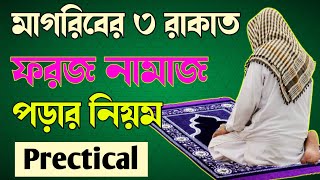 মাগরিবের ৩ রাকাত ফরজ নামাজ পড়ার নিয়ম 🔥Magrib ki namaz 🔥 Magriber namaz porar niom [upl. by Eninaej996]