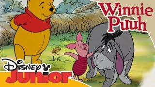 Freundschaftsgeschichten mit Winnie Puuh IAah hat einen schlechten Tag  Disney Junior [upl. by Narcho]