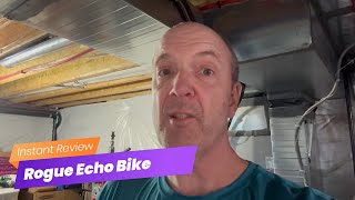 Instant Review Rogue Echo Bike [upl. by Niessuh724]