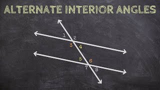 What are Alternate Interior Angles [upl. by Akirdnas612]