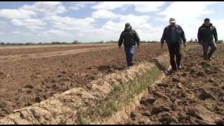 Preparación de suelos arroceros y micronivelación con pala láser [upl. by Unders]