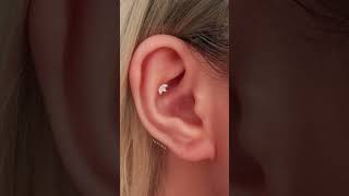 6 Types of Conch Piercings [upl. by Ardnama444]