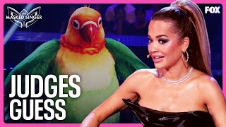 Judges Guess for Lovebird  Season 11  The Masked Singer [upl. by Yknarf836]