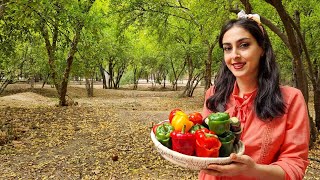 how to cook dolma  traditional azerbaijan dolma recipe  a taste of azerbaijani dish [upl. by Slavin]