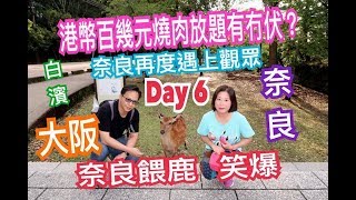 兩公婆食在大阪  大阪、白濱、奈良旅行 Day 6  港幣百幾元燒肉放題有冇伏？ 奈良餵鹿 笑爆 [upl. by Nnyleahs]