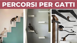 PERCORSI PER GATTI da parete fai da te  DIY [upl. by Imerej]