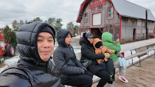 Christmas Tree Cutting Adventure at Quinn Farm  Magical Holiday Moments in Quebec [upl. by Katherine184]