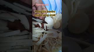 Mengiris bambu mudarebung Dendrocalamus asper shortvideo shorts short [upl. by Bow969]