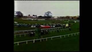 1982 Panama Cigar Hurdle Qualifier [upl. by Helge]