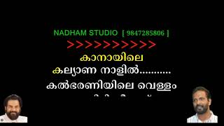 kanayile kalyana naalil karaoke with lyrics [upl. by Aivyls]