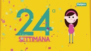 24° settimana di gravidanza [upl. by Idnil]