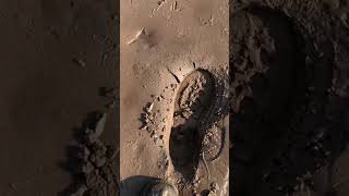 beach metal detecting dumbarton castle amp finding shifting quick sand [upl. by Ennovihs]