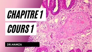 Histologie  Chapitre 1 Cours 1  Dr Hamza [upl. by Edva]