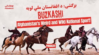 بزکشۍ د افغانستان ملي لوبه  Buzkashi Afghanistans National Sport [upl. by Nallij658]