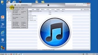 How To Delete Duplicate Songs Apple iTunes  Free amp Easy [upl. by Donalt]