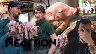 Mission Schwein  Robert Marc Lehmann  Reaction [upl. by Benoite]