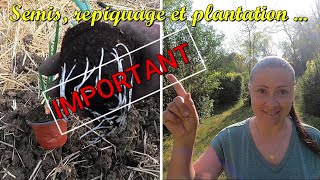 Semis repiquage plantation au potager afin déconomiser 🌱💶 [upl. by Niwle]