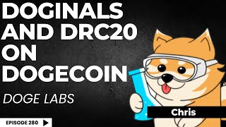 NFTs and Tokens on Dogecoin  Doge Labs [upl. by Val218]